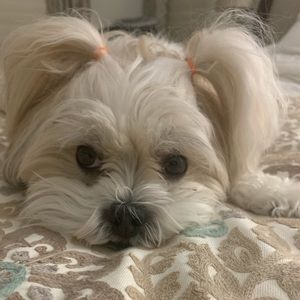 Meet your Posher, Stacie